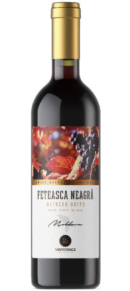 moldova-wine_kvint_vinvoyage_feteasca-neagra_2016-1.jpg