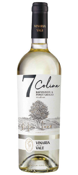 moldova-wine_vinaria-din-vale_7-coline_sauvignon&pinot-grigio_2018-1.jpg