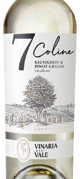 moldova-wine_vinaria-din-vale_7-coline_sauvignon&pinot-grigio_2018-2_20200227130447649.jpg