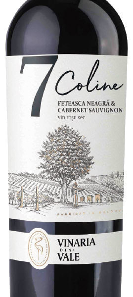 moldova-wine_vinaria-din-vale_7-coline-_-feteasca-neagra&cabernet-sauvignon_2018-2.jpg