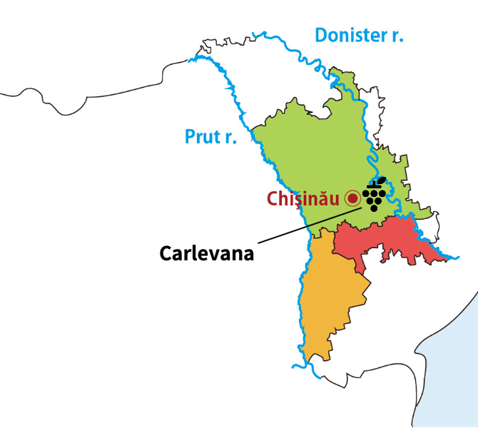 モルドバワイン・モルドバマーケット・CARLEVANA・MOLDOVA WINE