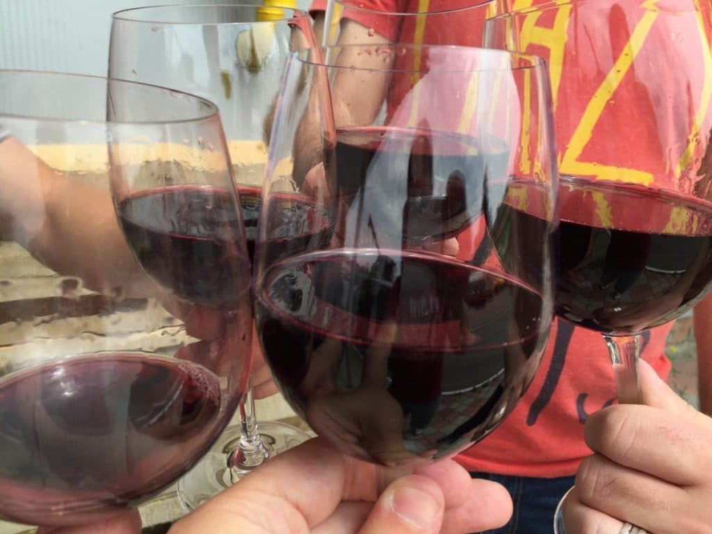 モルドバワイン・モルドバマーケット・MINIS TERRIOS・MOLDOVA WINE