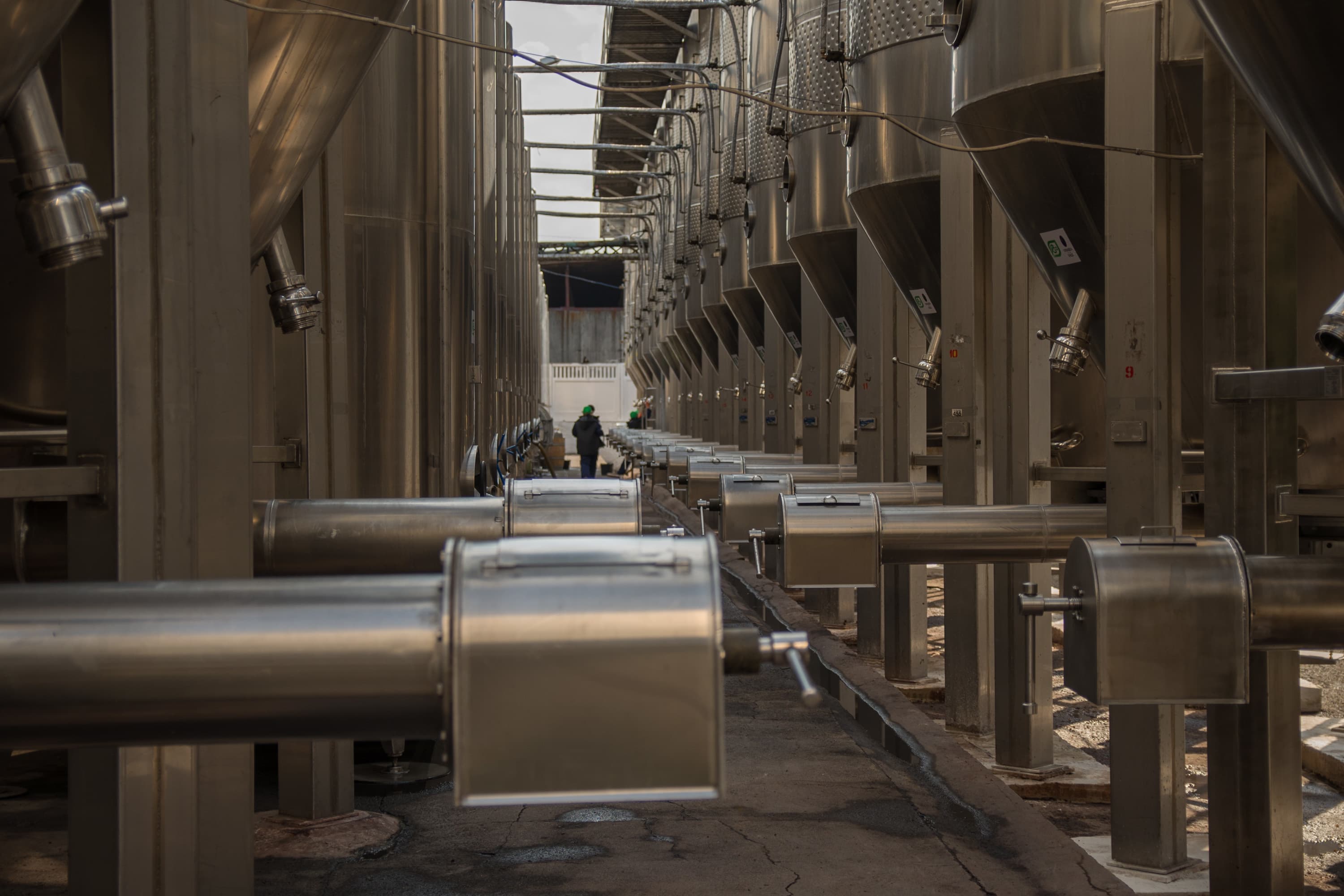 vinaria-din-vale-winery-moldova-market-2.jpg