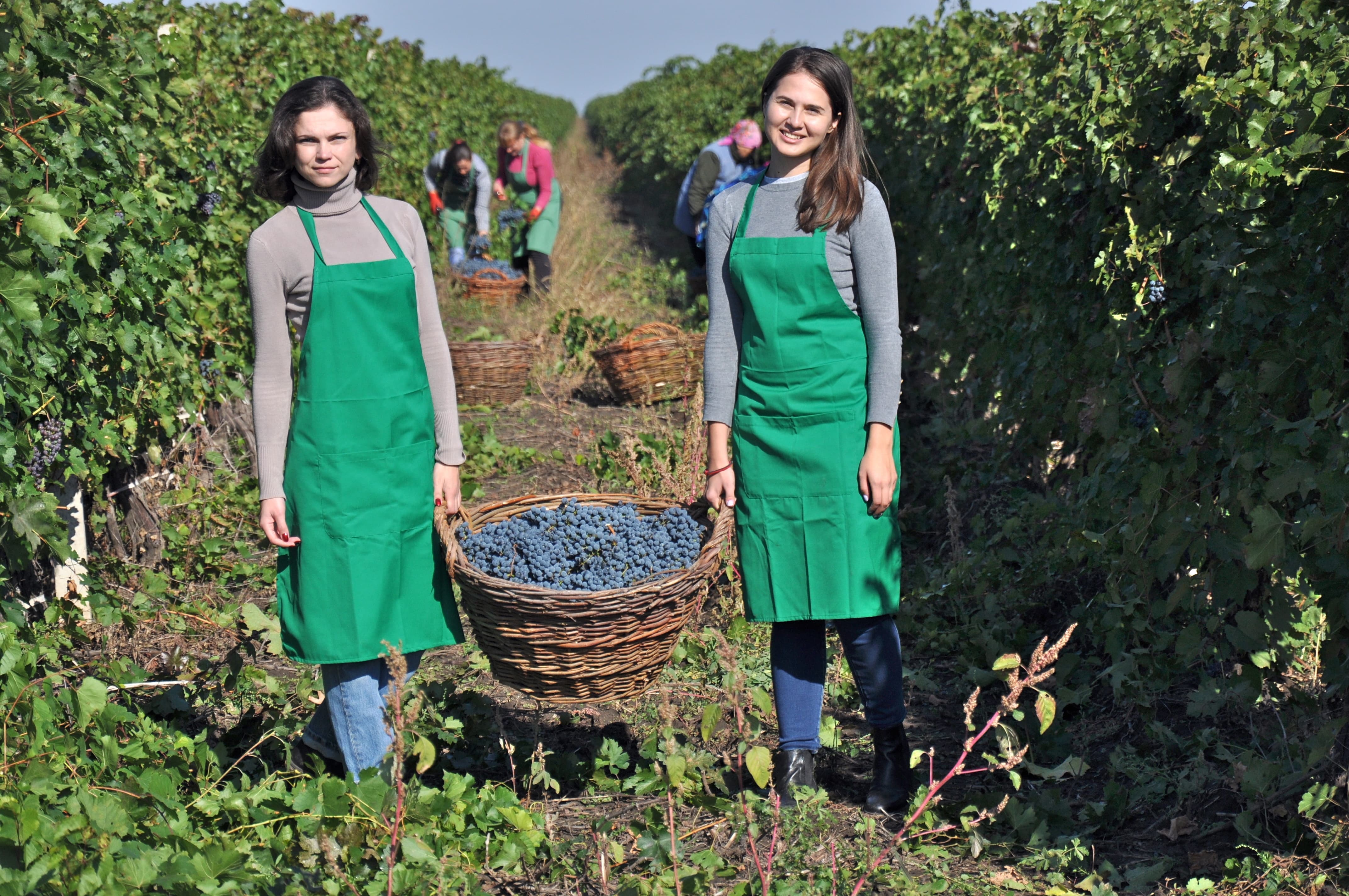 モルドバワイン・モルドバマーケット・VINARIA DIN VALE・MOLDOVA WINE