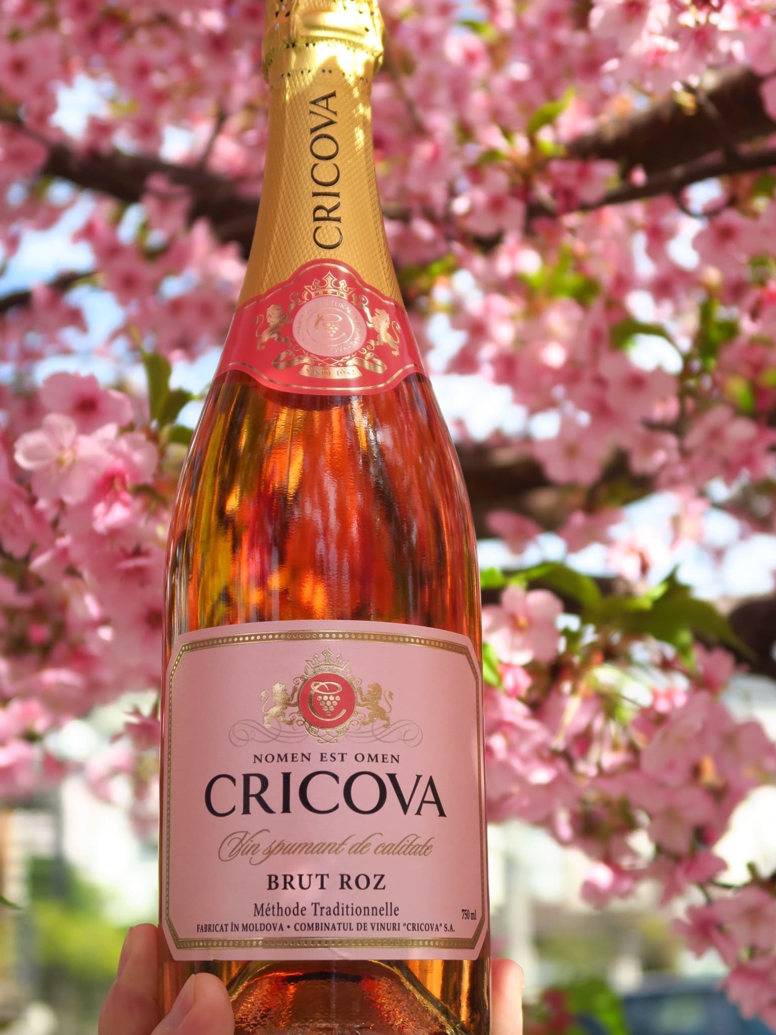moldova market Cricova rose wine  モルドバ マーケット ロゼ モルドバワイン