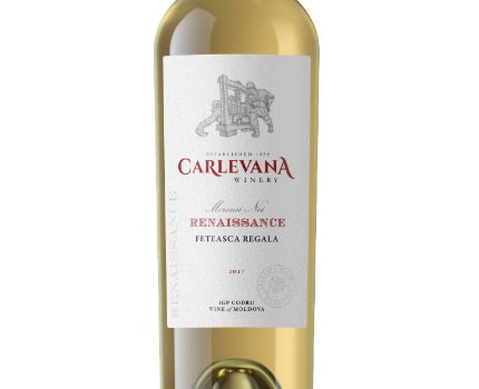 moldova-bioteca_classic_oil_pumpkin-1.jpg