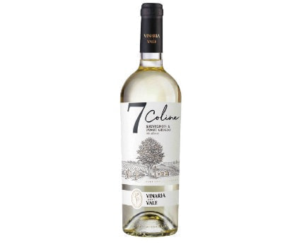 moldova-bioteca_classic_oil_pumpkin-1.jpg