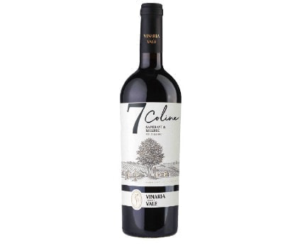 moldova-bioteca_classic_oil_pumpkin-1.jpg