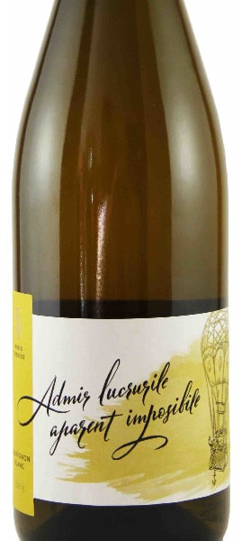 moldova_wine_bostavan_via-etulia_cabernet-sauvignon_2014_2.jpg
