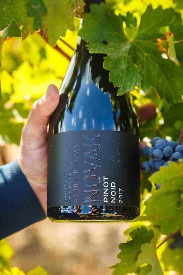 novak_pinot_noir.jpg