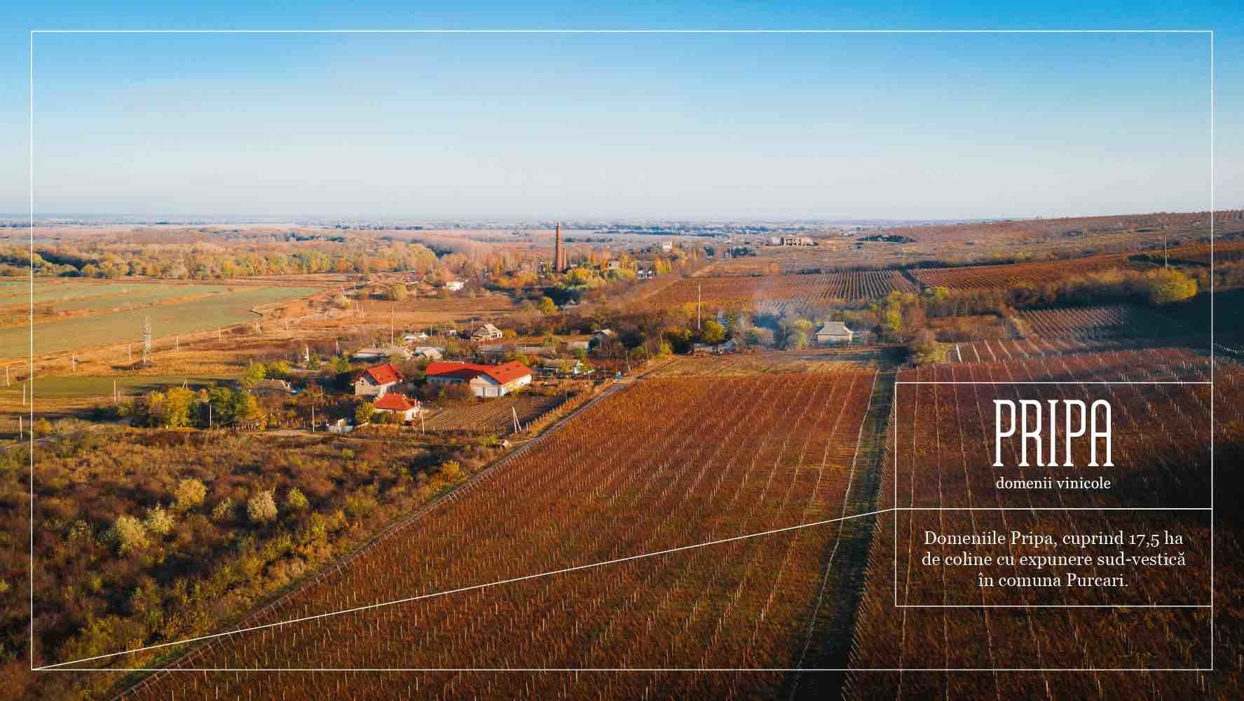 pripa_winery_1.jpg