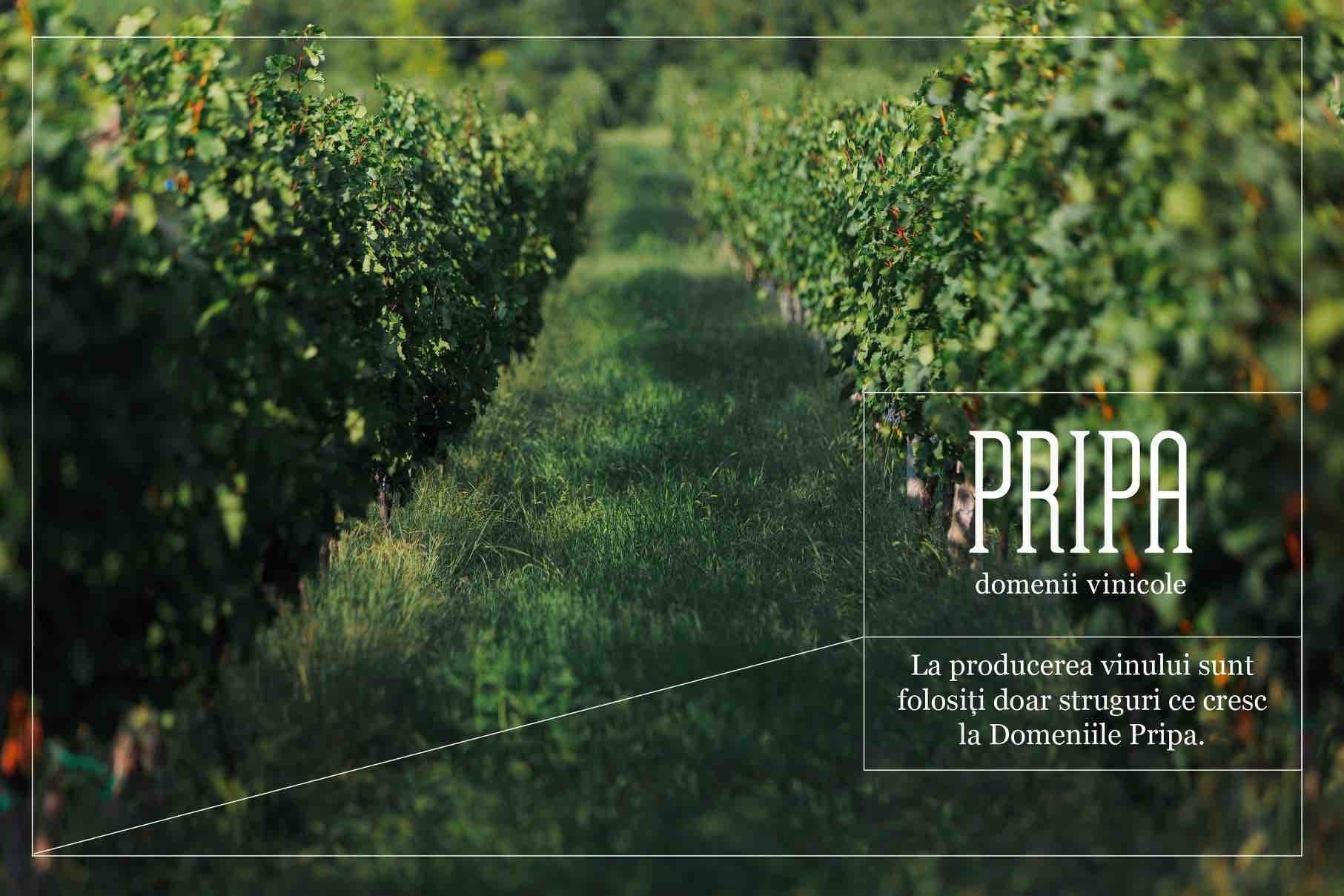 pripa_winery_2.jpg