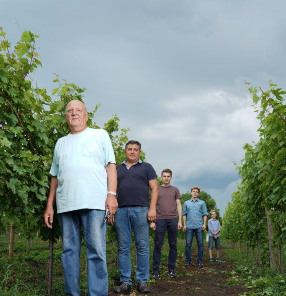 vinum_estate_6.png