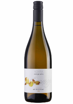 Moldova wine Novak Alb de Onitcani Orange wine モルドバワイン ノヴァク  アルブ・デェ・オニツカニ オレンジワイン