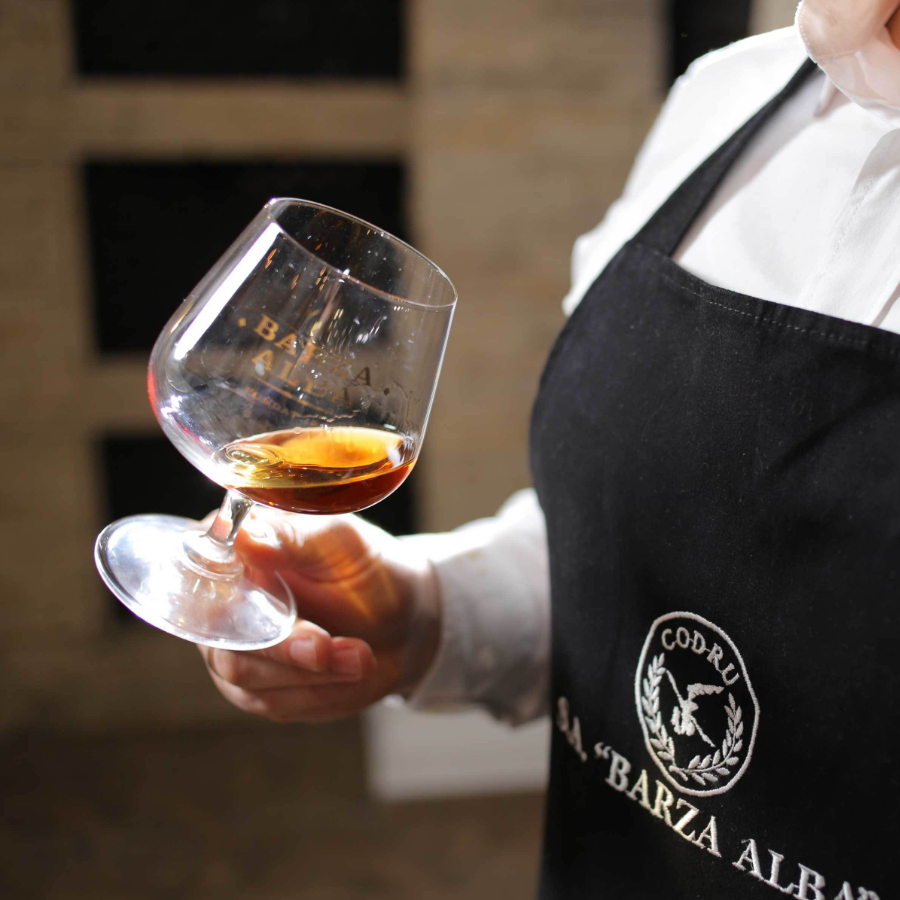 Barza Alba XO 9  years Brandy ブランデェー