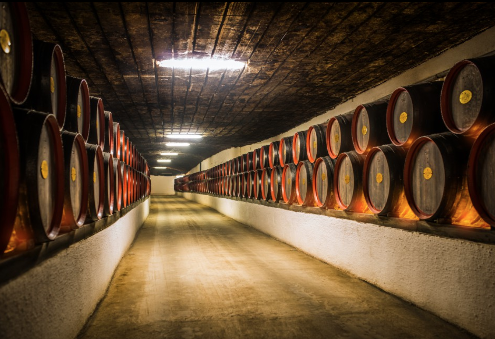 cricova-winery-moldova-market-3.png