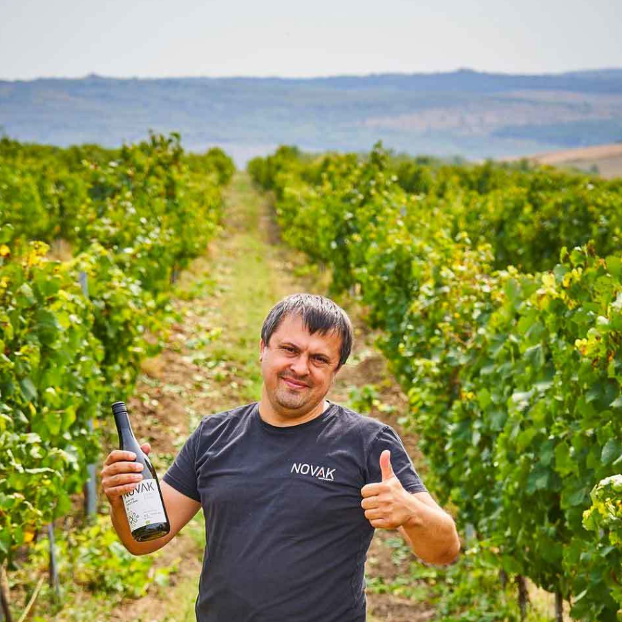 Novak winery Moldova