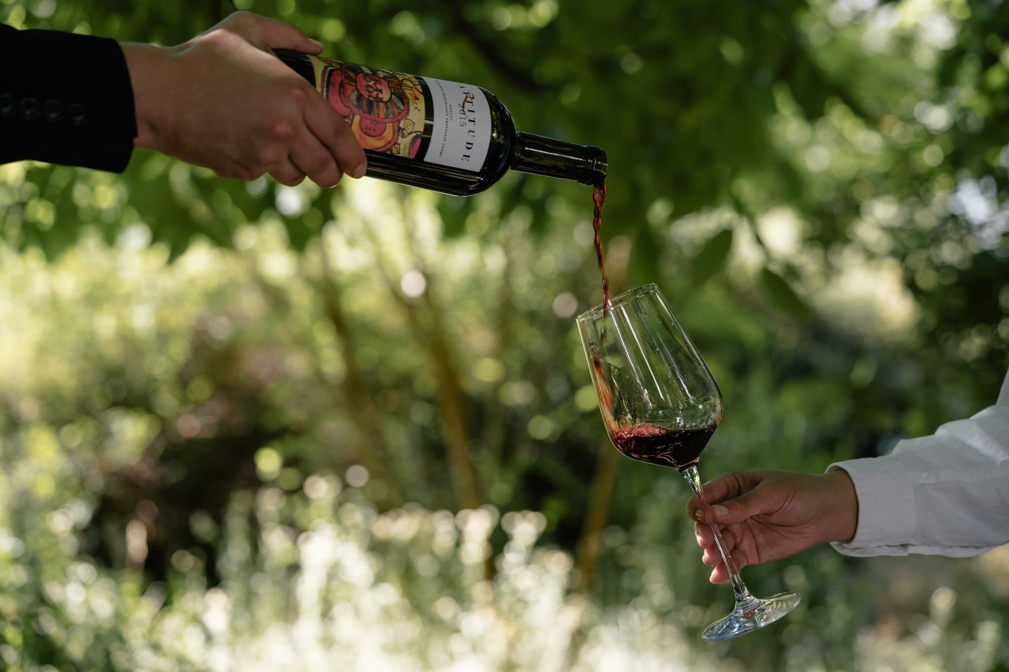 doina_vin_main_2.jpg