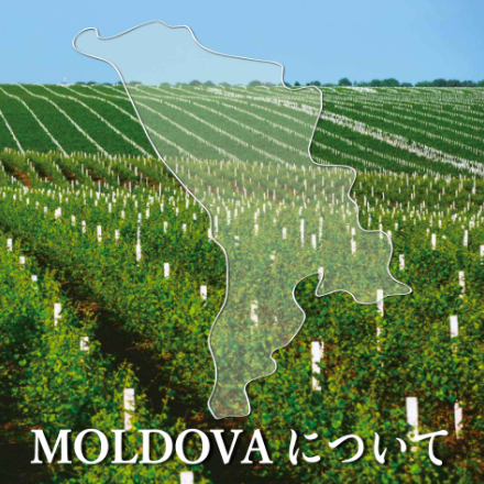 About Moldova モルドバについて