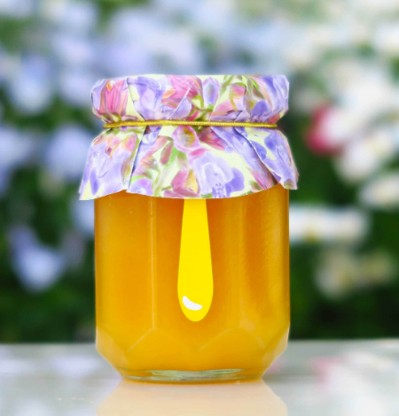 NATURAL SAGE HONEY MOLDOVA HONEY SAGE モルドバ産 サルビア蜂蜜 | 非加熱 サルビア蜂蜜